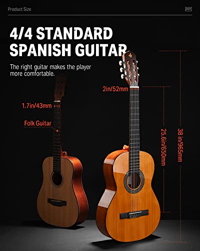 Donner Guitare Classique 4/4 Pack pour Adulte Débutant Guitare Acoustique Folk 39 Pouces avec Nylon Corde Accordeur… - Les Beatles, Paul McCartney, John Lennon, RIngo Starr, George Harrison Donner Guitare Classique 4/4 Pack pour Adulte Débutant Guitare Acoustique Folk 39 Pouces avec Nylon Corde Accordeur… – Image 3