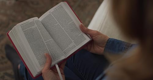 ESV Large Print Compact Bible, Red Letter (TruTone, Berry, Floral Design): Holy Bible, English Standard Version - image 4