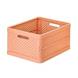 VIGAR - Caja de Almacenaje - Plegable - 36 x 23 x 19 cm - Organizador Armario -...