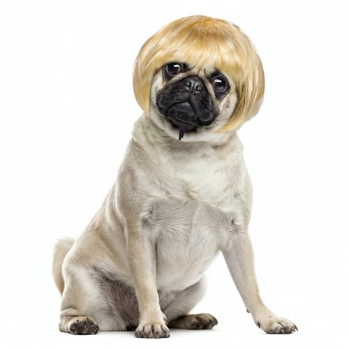 Cobee Lustige Hunde Katzen Cosplay Perücke,Haustier Perücke verstellbares Kostüm lustige Kopfbedeckung Kostüme Kopfbedeckung für kleine mittelgroße Perücken Halloween Weihnachten Dekorationen