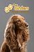Mon Chien Carnet de santé: Cocker Spaniel Anglais | 109 pages 15cm x 23cm A5 | Cahier à Remplir | Vaccinations | Suivi Médical | Visites Vétérinaires ... | Contacts | Pour les amoureux des chiens