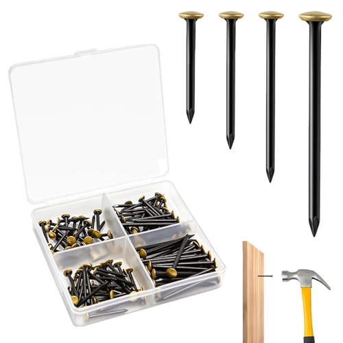 120 Stück Stahlnägel Set 20/25/30/40mm, Ideal als Bildernägel, Rostfreie Stahlnägel für Betonwände, Ziegelstein, Putz und Holz, in Aufbewahrungsbox