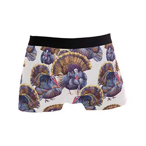 Chinese Dragon and Phoenix Men's Underwear Boxer Briefs Breathable, Multi