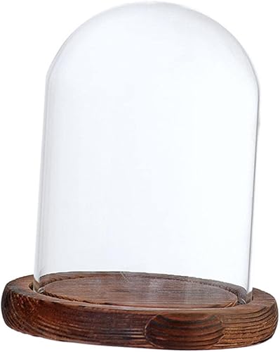 Miniatura 5 de MERIGLARE Tarro de cristal para planta, marrón B, 2.8x4.7 in