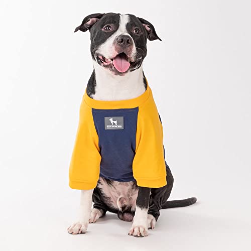Image of Heads Up For Tails polyester HUFT Less Talkie More Walkie Pet Sweatshirt - Navy, dogs, 1 count