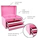 Apollo Tools 14 Inch Steel Tool Box with Deep Top Compartment and 2 Drawers in Heavy-Duty Steel With Ball Bearing Opening and Powder Coated Finish - Pink Ribbon - Pink - DT5010P