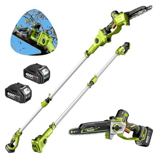 10 Inch Electric Pole Saws for Tree Trimming, 1000W Brushless Pole Saw and Mini Chainsaw 2 in 1, 2*4000mAh Battery, Lightweight Tree Saw with Extension Pole, 16Ft Max Reach Tree Trimmer Branch Cutter