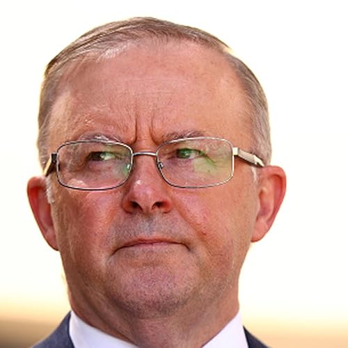 Albanese welcomes Israel and Hamas signing off on peace plan for Gaza