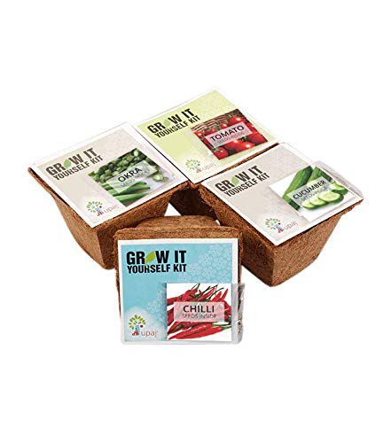 Grow It Yourselves Vegetable Chilli, Tomato, Cucumber and Okra Garden for home balcony and best Eco Friendly Kids Birthday (Small GIY Pack 4)