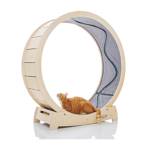 Star Cat Wheel, Cat Treadmill, Exercise Wheel for Running, Spinning, Scratching, and Climbing for Indoor Cats, Premium Birch Wood, Eco-Friendly, Moving Fish, Wide Running Track, 47.2 inch XL Size