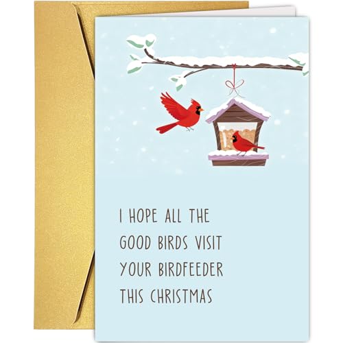 Supoeguk ʔ̉aNX}XJ[hAD̂߂̂킢NX}XJ[hAI Hope All The Good Birdfeeder