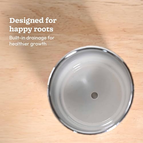 Image of UGAOO Peacock Ceramic Pot - 5 Inch | Ceramic pots for Indoor Plants | Ceramic Flower Pot for Living Room | planters for Home Decor (Silver)