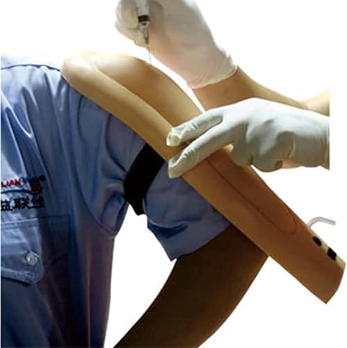 Modelo docente, modelo de brazo, modelo intramuscular de brazo superior con luces indicadoras de profundidad y alarma para práctica estudiantil miniatura 6