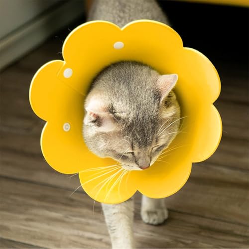 JEYORZY Halskrause Katze, Verstellbar Leichtgewicht Schutzkragen, Weich Schutzhalsband Kegelhalsbänder Genesungshalsband, Haustier Elisabethanischer für Katzen kleine Hunde(XS)