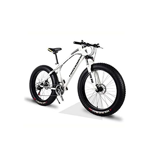 DPFXNN 26 Pulgadas, 27 velocidades, Todoterreno, Bicicleta de montaña, Marco de Aluminio, Snow Beach 4.0, neumáticos de Bicicleta de Gran tamaño, vehículos Todoterreno para Hombres y Mujeres