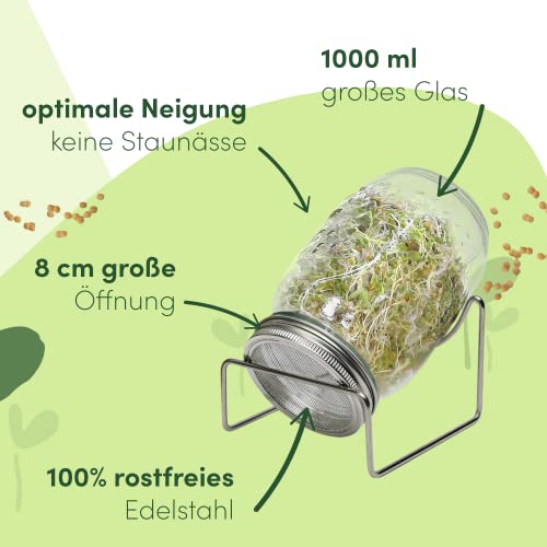 Sprossengläser Green Seeds 2er Set 1000ml für gesunde Sprossen