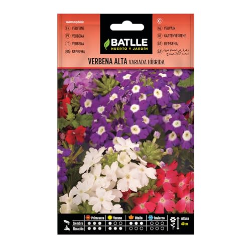 Semillas Batlle Verbena ALTA variada Hibrida