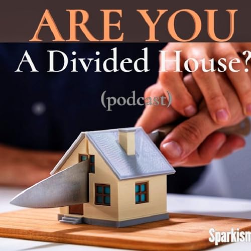 ARE YOU A DIVIDED HOUSE? cover art