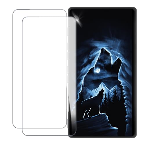 UOGNADGD �J�o�[ HiBy Digital M300 2023 �Ƃ̌݊������� �J�X�^���J���t���P�[�X�{�����K���X�ی�t�B����2���t�� ? �Ռ��z�������h�~ (�T 2)