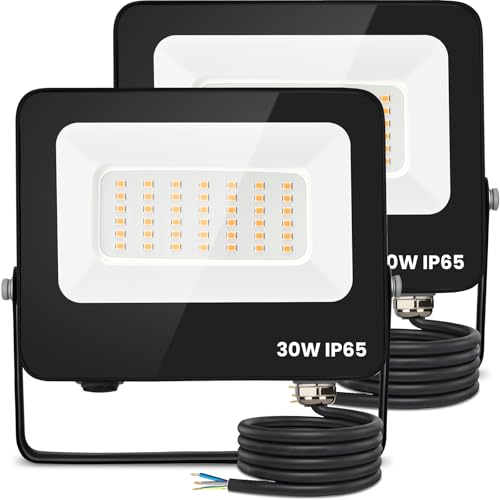 Aigostar Foco Led Exterior 30w 2450 lúmen，Impermeable IP65，Proyector LED Exterior Blanco Natural 4000 K para Jardín，Patio，Garaje，Parque ，2 piezas