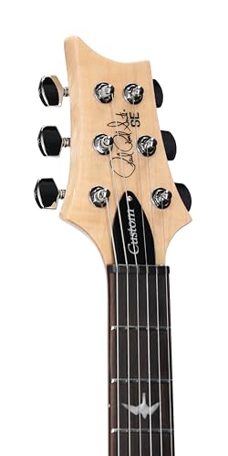 Image of PRS SE Custom 24 Exclusive, Blue Matteo Natural Back
