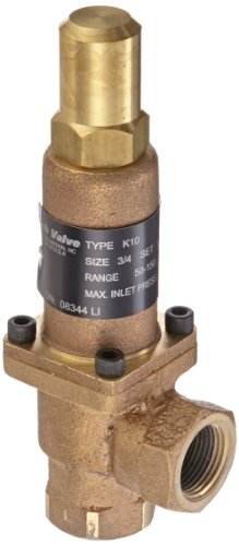 Cash Valve 8344-0100 Bronze Back Pressure Relief Valve, Preset Setting 100 PSI, 3/4