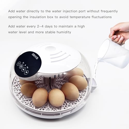 HBOOR 12 Egg Incubator，Incubators for Hatching Eggs，Egg Incubator with Automatic Egg Turning and Humidity Control，Chicken Incubator，for Hatching Quail Duck，Egg Candler and Display of Incubation Days - Thumbnail 5