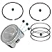 Tupo 595cc 95mm Cylinder Piston Ring Gasket Top End Rebuild Kit Compatible with Yamaha YFM600F YFM600FWA YFM600FH YFM600 XT600 TT600 SRX600S XT 600 Grizzly Realtree Hunter 600 Grizzly600