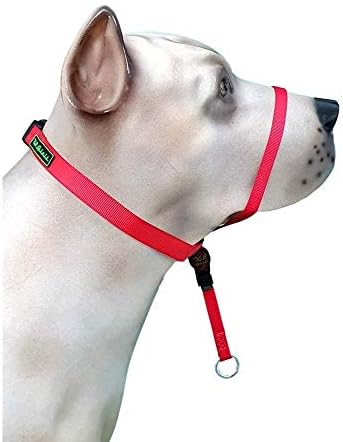 Coleira Cabresto K-9 Spirit Para Cães Grande Vermelha