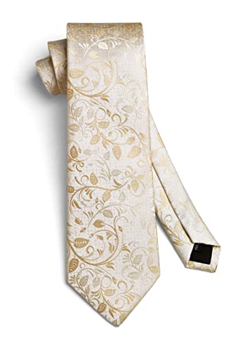 Image of HISDERN Ties for Men Paisley Floral Mens Ties and Pocket Square Cufflinks Set Classic Business Necktie Handkerchief