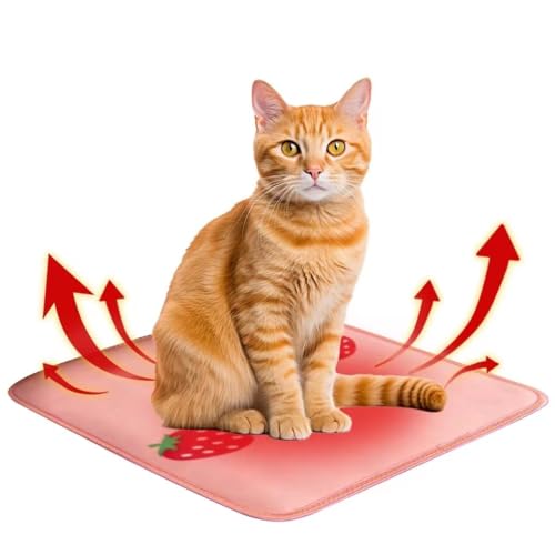 JUNENTER Lpq[^[txbh Lpq[^[pbh dCq[^[tLpxbh Xgx[XgCv OEp ~p (XgCv)