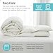 Ltinhome Organic Feathers Down Comforter Full Size | 100% Cotton, Premium Goose Duck Feathers & Down Filling, All-Seasons Stand-Alone Duvet Insert with Tabs, 82x86 Inches, White