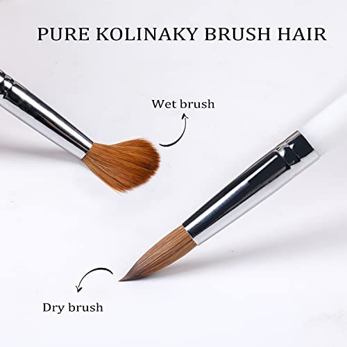 Angnya Kolinsky Acrylic Nail Brush For Nail Extension With White Handle Rould Nail Brushes For Acrylic Application Manicure Pedicure Tools Kolinsky Sable Acrylic Round Nail Art Brush #20 #TOP1
