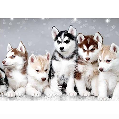 Diamond Painting chiot 5D mosaïque xxl pour décorer le salon en famille