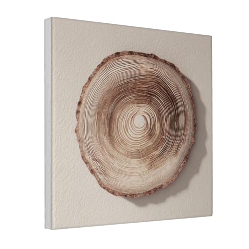 Lienzo abstracto de anillos de árbol Woshuwo de 30x30 cm enmarcado para salón