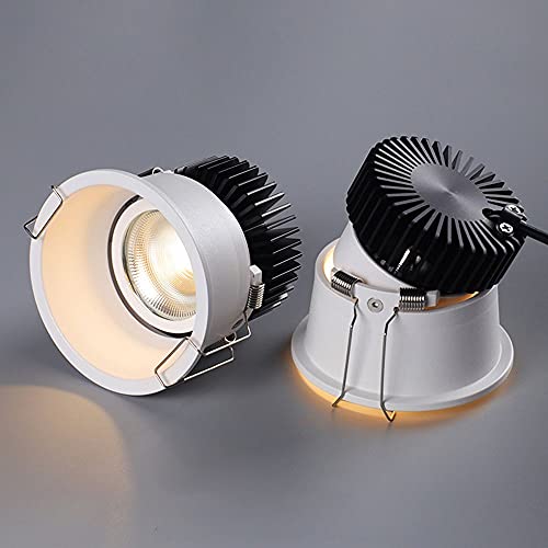 Foco direccional LED empotrable de aluminio con luz de acento orientable 2
