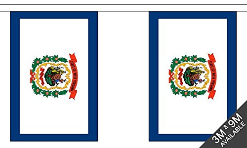 Flagtex West Virginia Fabric Bunting – 9m with 30 Flags – Indoor & Outdoor Decoration – String Flags Banners WV State USA American South Appalachia