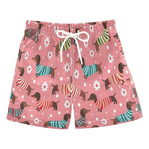 Swimming Trunks for Kids, Anti Chafe Swim Trunks Boys 2 T, Cute Cartoon Dachshunds Striped Colors