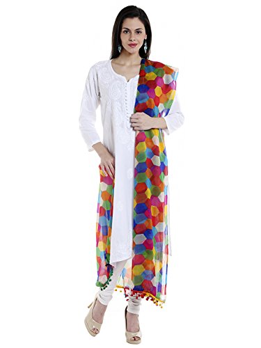 Women's Multicoloured Printed Chiffon Dupatta