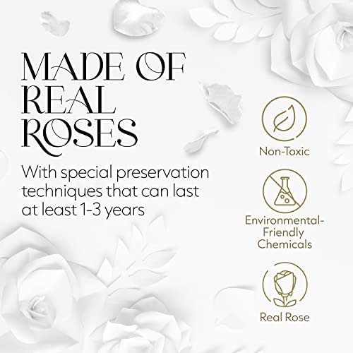 GLAMOUR BOUTIQUE Eternal Preserved Roses in a Box - Flowers Forever, Rose Forever in a Box for Wife, Birthday Gifts for Her, Single Rose, White