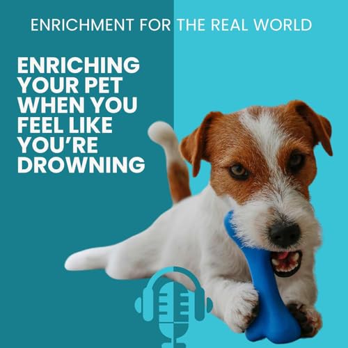 #143 - Enriching Your Pet When You Feel Like You&rsquo;re Drowning copertina