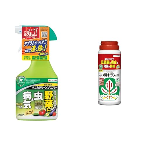 【セット買い】住友化学園芸 殺虫殺菌剤 ベニカグリーンVスプレー 420ml+殺虫剤 家庭園芸用GFオルトラン粒剤 200g