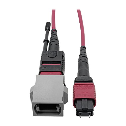 Adaptateur fibre optique MTP/MPO Tripp Lite N846-08N-C2B OM4 pour migration réseau 40/100 Go