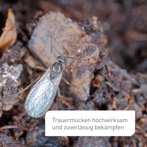 Plantura Trauermückenfrei Neem, 75 ml für ca. 30 Pflanzen – Ansicht 2