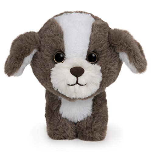 GUND Pet Shop Shih Tzu Puppy Dog Plush Stuffed Animal, Brown and White, 6