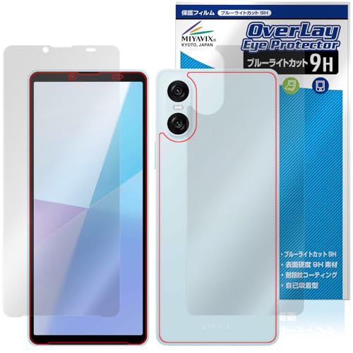 ~rbNX Xperia 10 VI XQ-ES44 / SO-52E / SOG14 / A402SO Ή ی tB dx 9H u[CgJbg PET tEw Zbg {