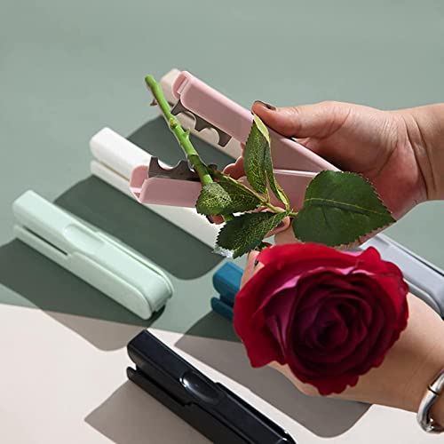 Herramienta quitadora de espinas para rosas TEONEI rosa miniatura 3