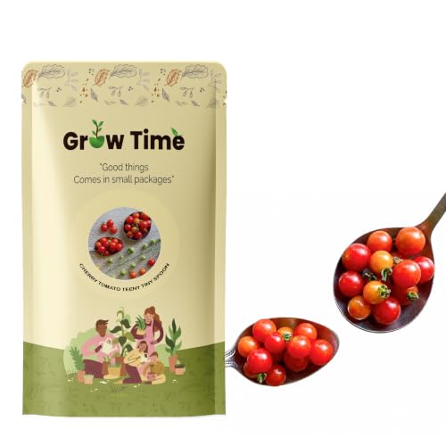 Image of Teeny Tiny Spoon Tomato Vegetable Seeds, Vegetable Seeds for Home Gardening, Vegetable Planting Seeds for Kitchen, Tomato Seeds (Pack of 280 Seeds) (Red, Teeny Tiny Spoon Tomato)