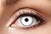 Zoelibat Eyecatcher – White Zombie – Farbige Wochen-Kontaktlinsen in durchgängigem Weiß – Kontaktlinsen Halloween weiß ohne Stärke