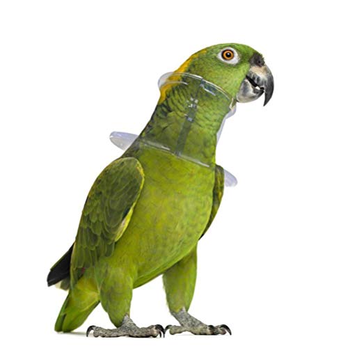 POPETPOP Vogel Anti- Bite Kraag Papegaai Hals Kraag Elizabethaanse Vogel Herstel Kraag Wondgenezing Kegel Voor Parkiet… - Afbeelding 4